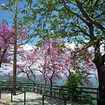 Livadaki Village - δασικό χωριό λιβαδάκι Ξενοδοχείο με διαμερίσματα Καρπενήσι