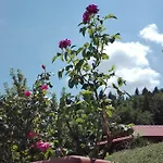Livadaki Village - δασικό χωριό λιβαδάκι 3* Καρπενήσι