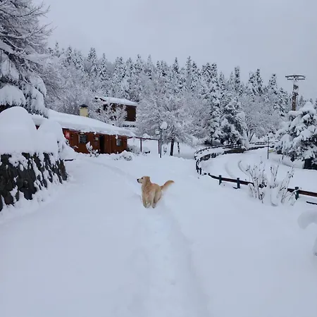 Livadaki Village - δασικό χωριό λιβαδάκι Ξενοδοχείο με διαμερίσματα Καρπενήσι