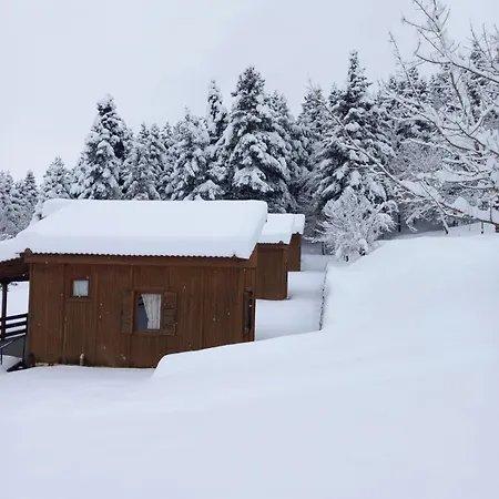 Livadaki Village - δασικό χωριό λιβαδάκι 3* Καρπενήσι
