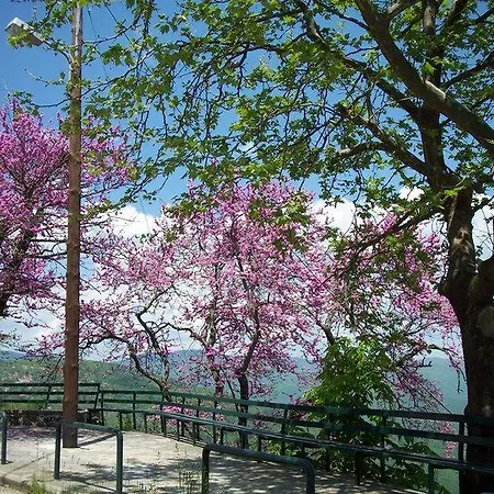 Livadaki Village - δασικό χωριό λιβαδάκι Apartmanhotel Karpeníszi