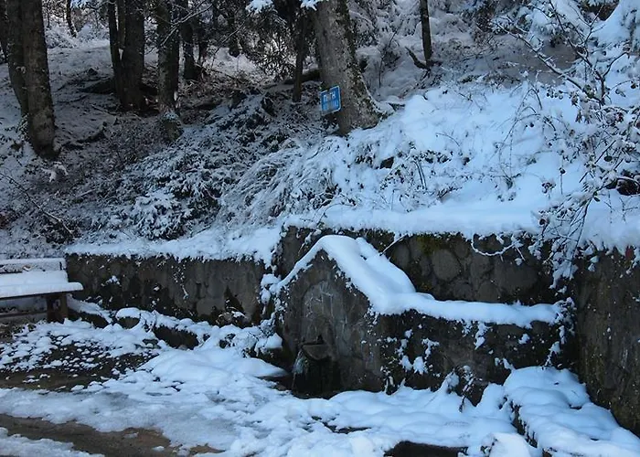 Ξενοδοχείο με διαμερίσματα Livadaki Village 3*