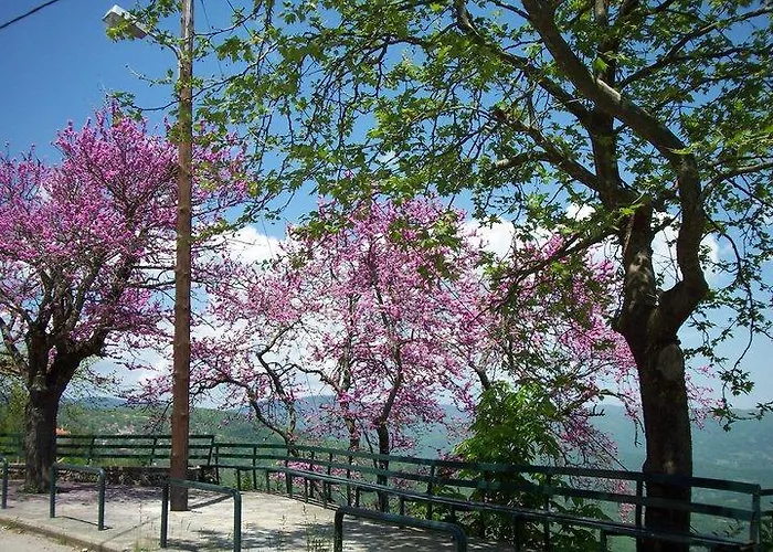 Livadaki Village Ξενοδοχείο με διαμερίσματα Megali Kapsi