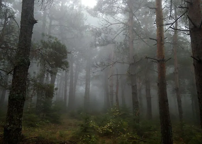 Livadaki Village Ξενοδοχείο με διαμερίσματα Megali Kapsi