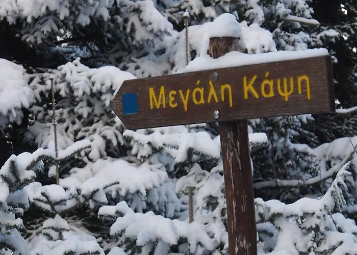 Livadaki Village Ξενοδοχείο με διαμερίσματα Megali Kapsi