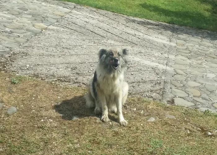 Livadaki Village Ξενοδοχείο με διαμερίσματα