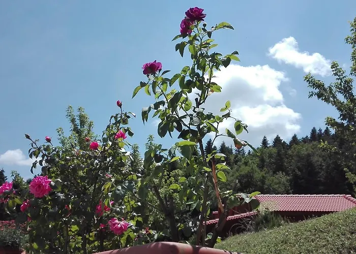 Livadaki Village 3* Megali Kapsi